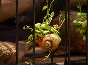 11b9a439-6723-4d4e-a577-2645ba229ba4