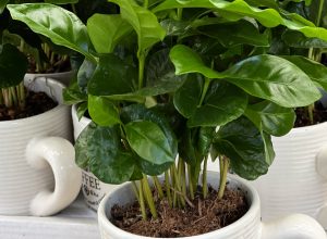 12D4F5E9-90FB-4D2C-A17F-11089735C7CC